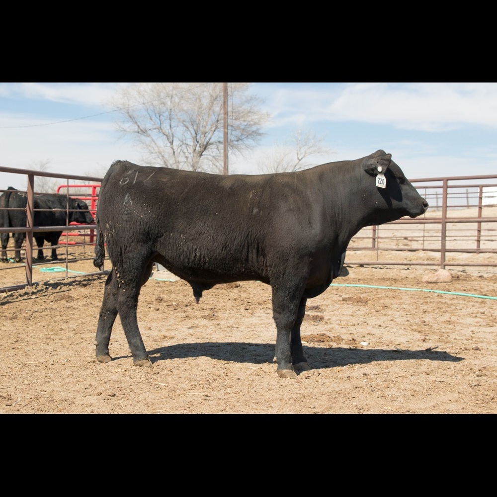 Meet your Posher, Dan